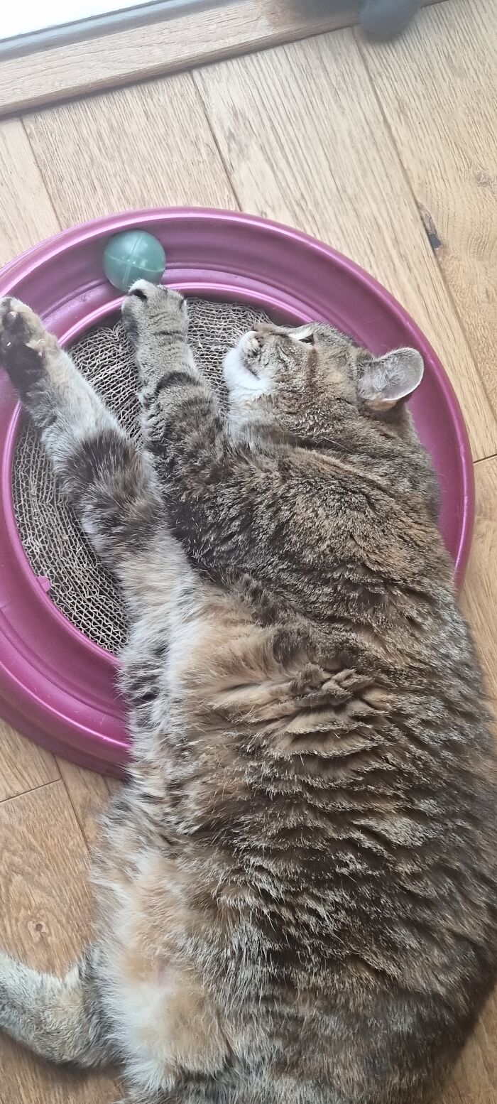 My Chunky Girl Loves Her Roundy