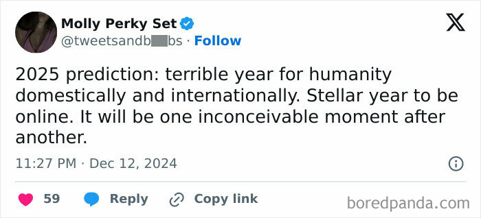 Tweet by Molly Perky Set discusses 2025 predictions, mentioning challenges for humanity and opportunities online.