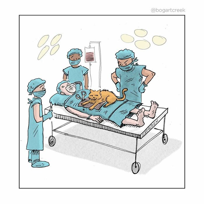 Surgeons puzzled as a cat naps on a patient in Derek Evernden's hilarious one-panel comic with darker undertones.