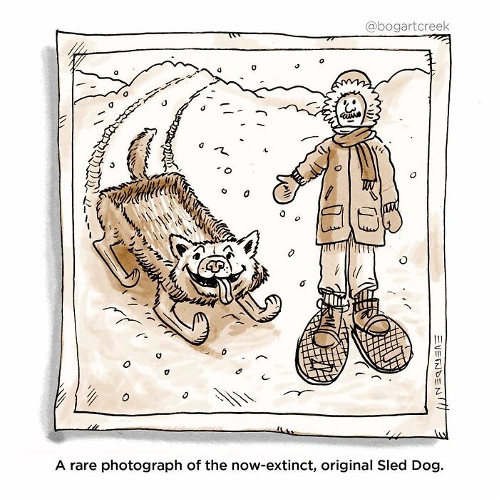 Hilarious one-panel comic by Derek Evernden showing a happy sled dog pulling a smiling figure through snow.