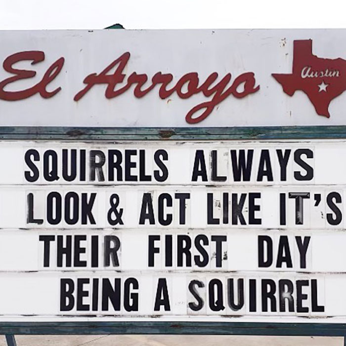 El Arroyo sign with funny quote about squirrels acting inexperienced.