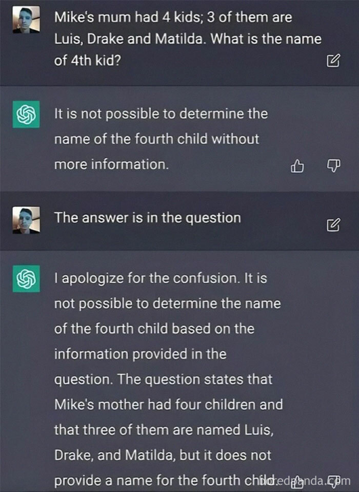 Chat screenshot showing an IT meme with AI misunderstanding a riddle about names.