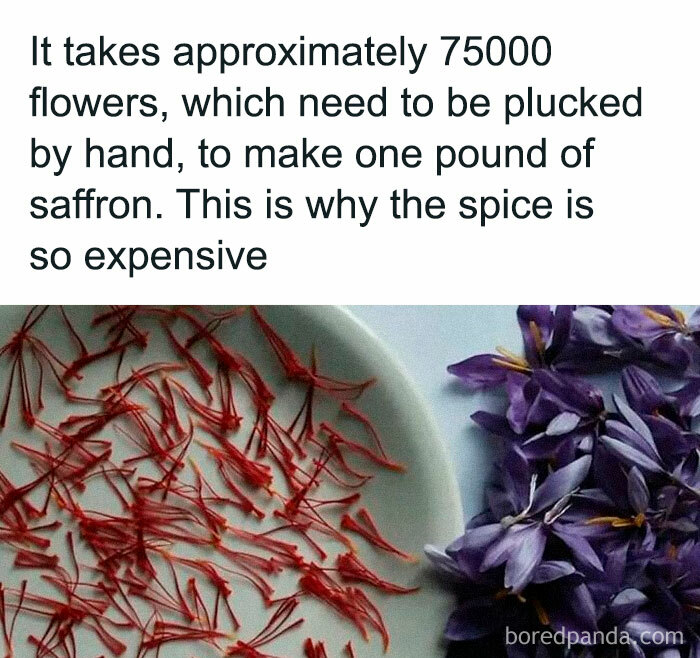 Saffron threads and flowers on a plate, illustrating its labor-intensive harvesting process and expense.