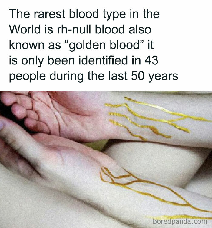 Hands with veins illustration, highlighting undiscovered facts about the rare rh-null blood type, also called "golden blood."