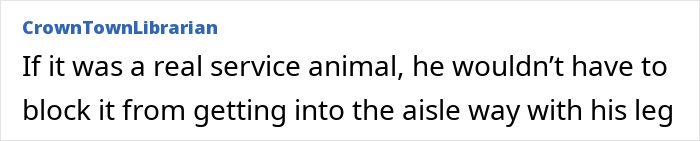 “Dog-Eat-Dog World”: Man Fumes Over Airplane Downgrade From First Class For Service Animal