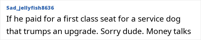 “Dog-Eat-Dog World”: Man Fumes Over Airplane Downgrade From First Class For Service Animal