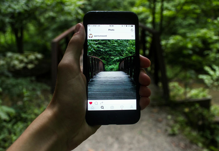 Hand holding a phone, displaying an image on screen of a wooden bridge, highlighting security awareness online.