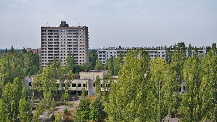 Abandoned buildings in Chornobyl surrounded by trees, highlighting genetically different dogs in the area.