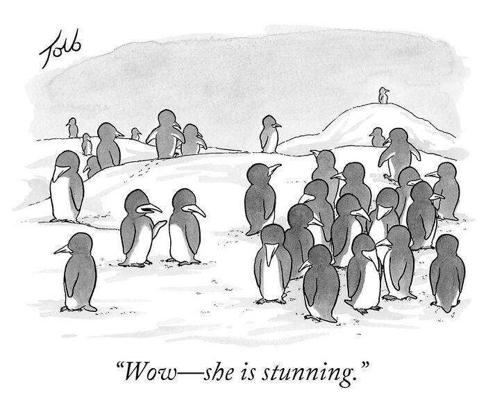 Penguins gathered, one exclaims about another's beauty in a funny Tom Toro one-panel comic.