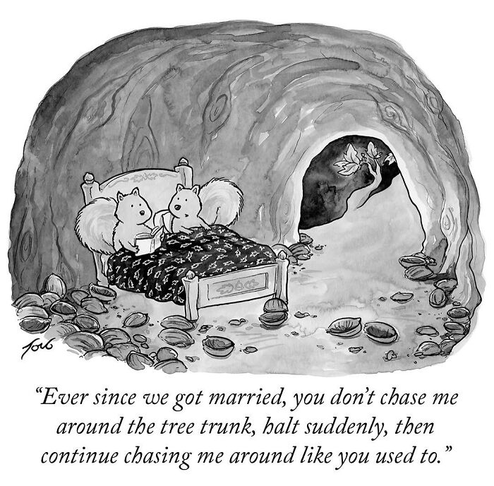 Two squirrels in bed in a tree-hole, with a caption about changes in their relationship dynamics after marriage.