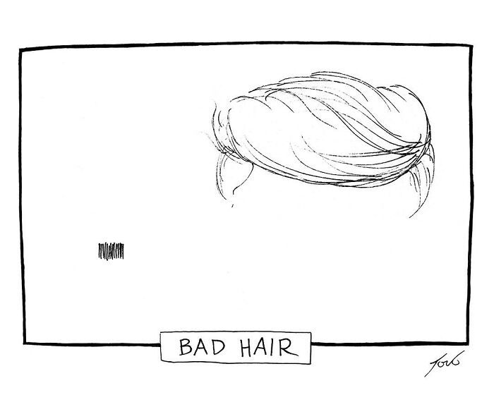 Tom Toro comic titled "Bad Hair" features an exaggerated hairstyle in a simple one-panel drawing.