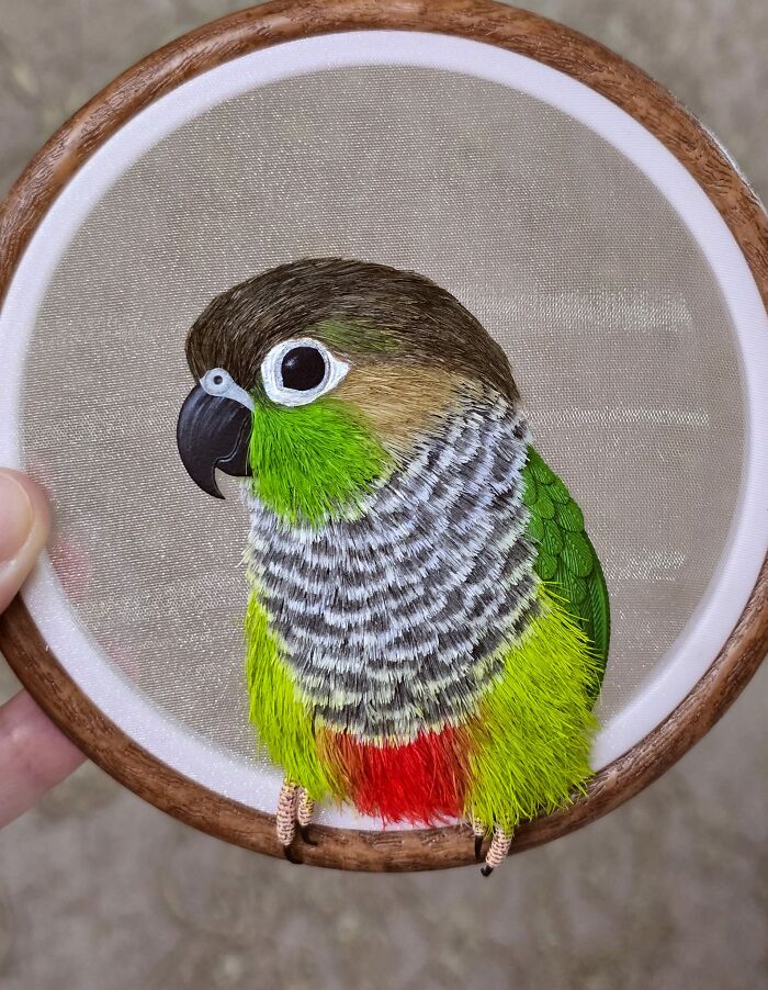 Just Finished This Little Guy. That's My Favorite Kind Of Parrot, Green Cheek Conure. Material: Eva Foam And Acrylic Paint