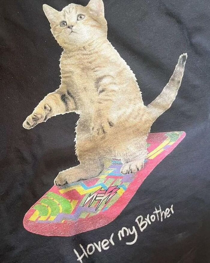 Cat on hoverboard graphic on weird shirt design.