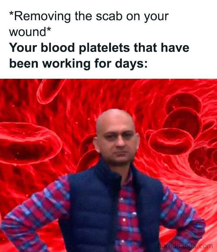 Meme with angry man surrounded by red blood cells, representing blood platelets reacting humorously.