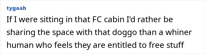 “Dog-Eat-Dog World”: Man Fumes Over Airplane Downgrade From First Class For Service Animal