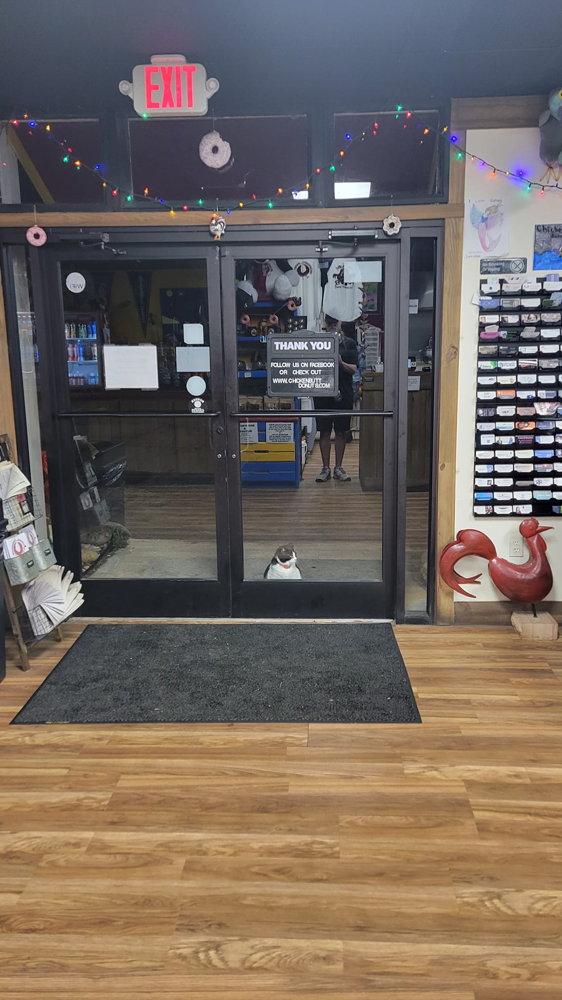 This Local Donut Shop Waiting Line Always Starts Behind A Cat Who’s Obsessed With Sweet Treats