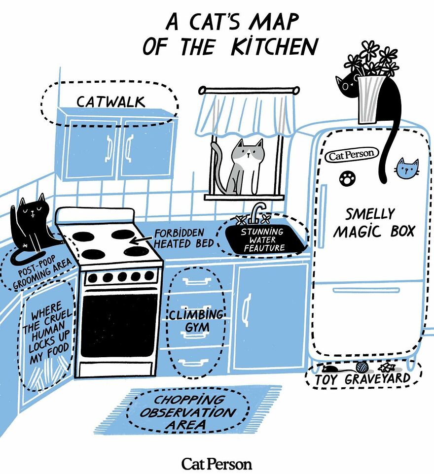 Ukrainian artist's comic depicts a cat's unique kitchen map with amusing labels like "Catwalk" and "Smelly Magic Box."