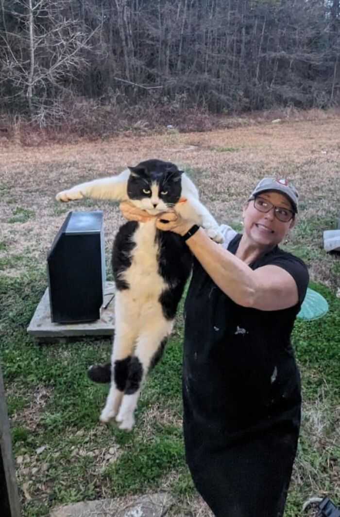 This Local Donut Shop Waiting Line Always Starts Behind A Cat Who’s Obsessed With Sweet Treats