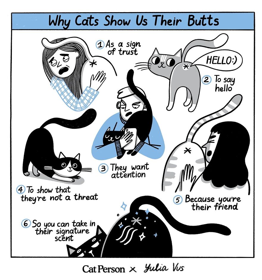 Comic strip by Ukrainian artist showing reasons cats display their backsides to humans, highlighting trust and friendship.