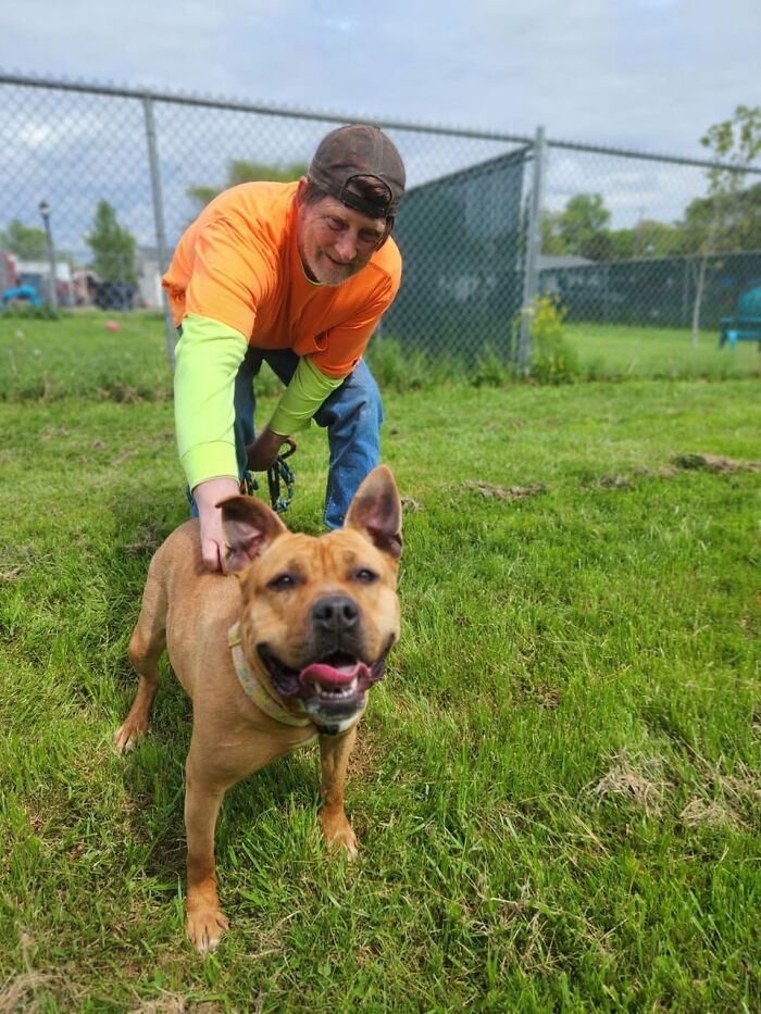 A happy dog with her new friend, enjoying the outdoors after a year in the shelter.