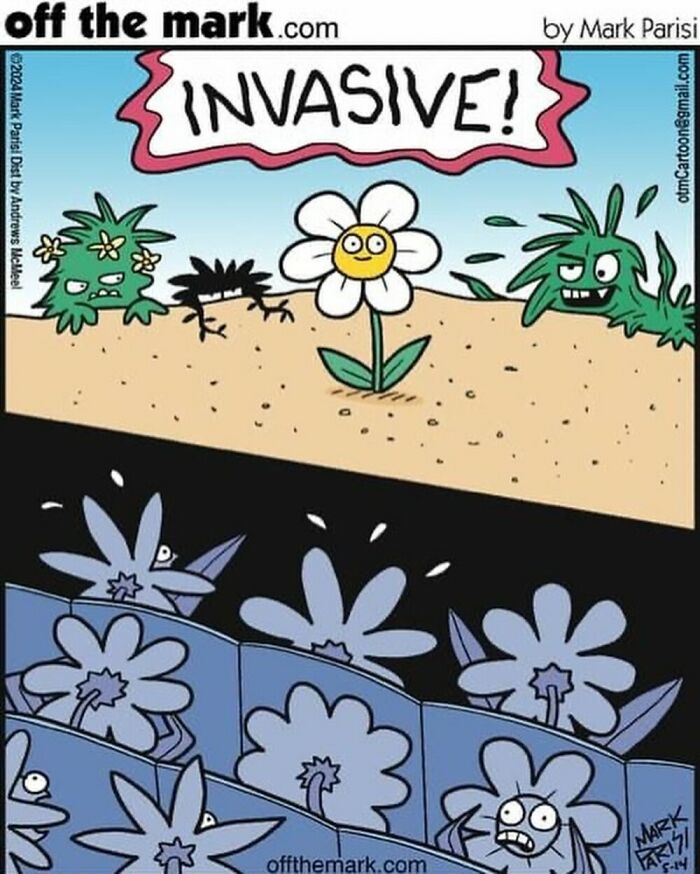 Comic showing a daisy among wary plants above, with flowers frightened in a cinema below. Theme: horror for plants.