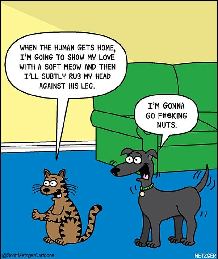 Only Cat And Dog Owners Might Truly Understand These 39 New Cartoons By The Artist Scott Metzger