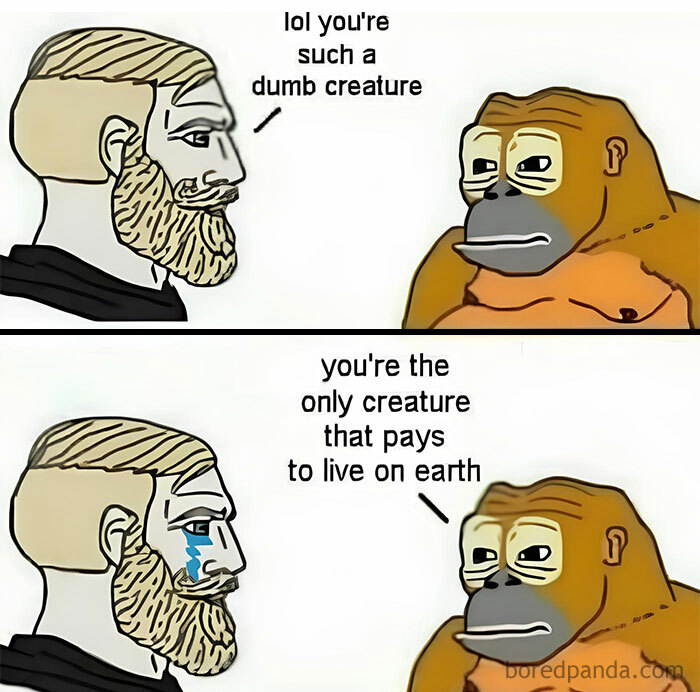 Bearded man and cartoon ape in meme discussing paying to live, illustrating funny history concept.