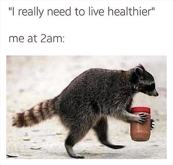 Raccoon holding a jar amusingly, embodying late-night snack shenanigans.