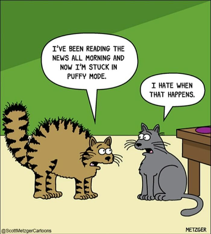 Only Cat And Dog Owners Might Truly Understand These 39 New Cartoons By The Artist Scott Metzger