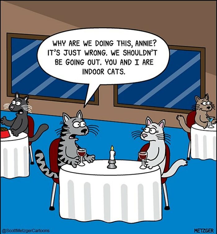 Only Cat And Dog Owners Might Truly Understand These 39 New Cartoons By The Artist Scott Metzger