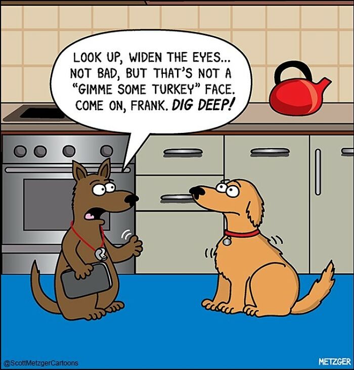 Only Cat And Dog Owners Might Truly Understand These 39 New Cartoons By The Artist Scott Metzger