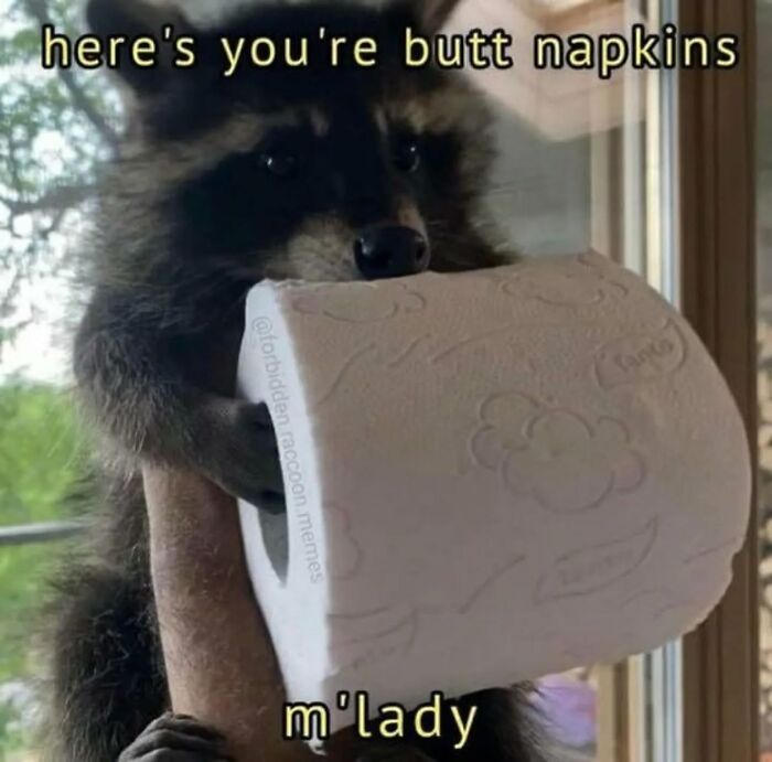 Raccoon holding a roll of toilet paper with humorous text overlay.