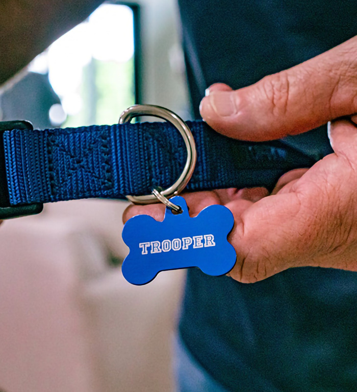 Close-up of a hand holding a dog collar with a blue tag labeled "Trooper" from Hurricane Milton incident.