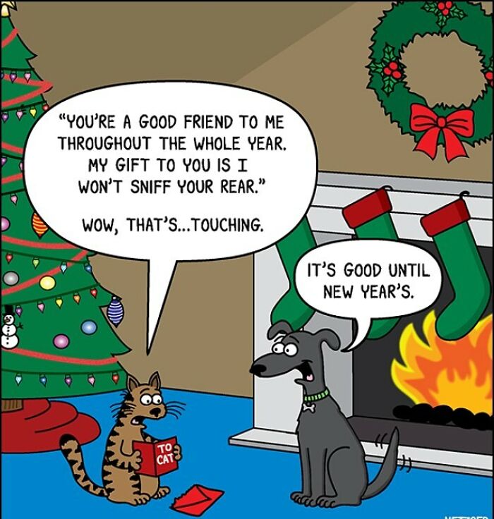 Only Cat And Dog Owners Might Truly Understand These 39 New Cartoons By The Artist Scott Metzger