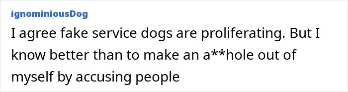 “Dog-Eat-Dog World”: Man Fumes Over Airplane Downgrade From First Class For Service Animal