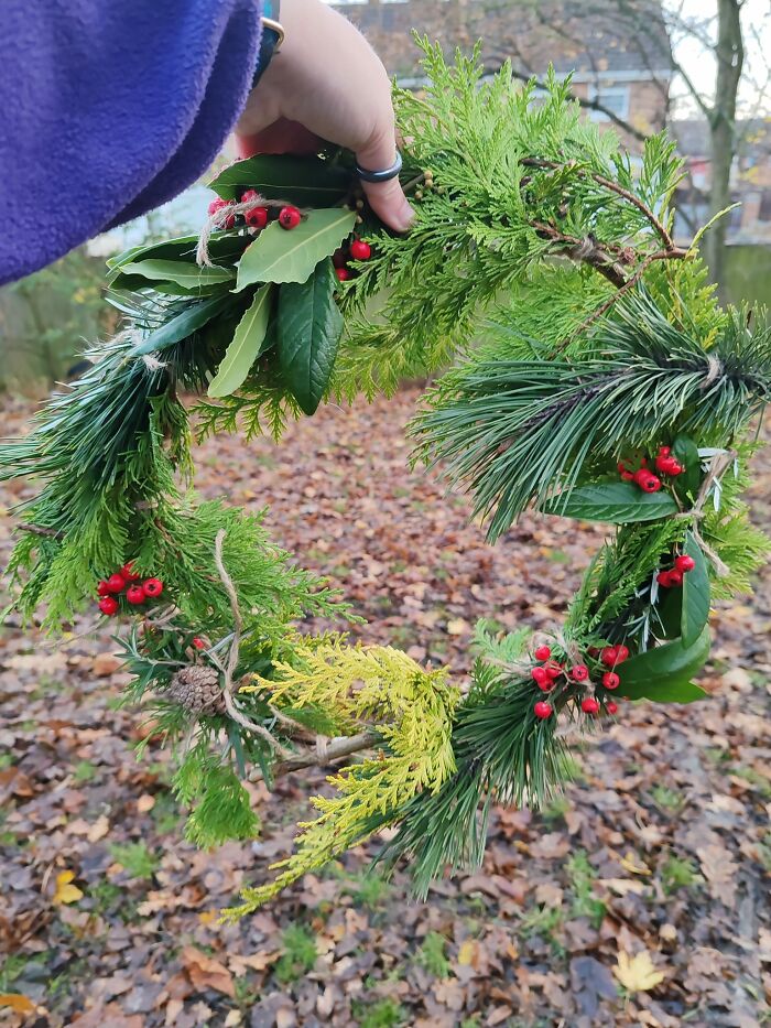 Me And My Class Of 5 Year Olds Made Natural Christmas Wreaths. All Materials Except Twine Are Grown On Site