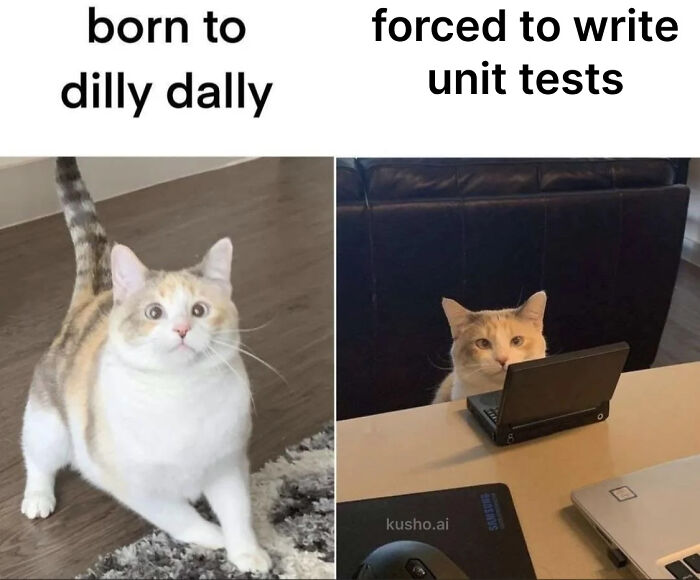 Unittests