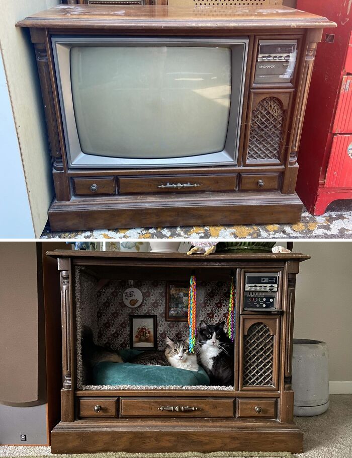 Restored vintage TV cabinet repurposed into a cozy cat bed, showcasing old-things restoration creativity.