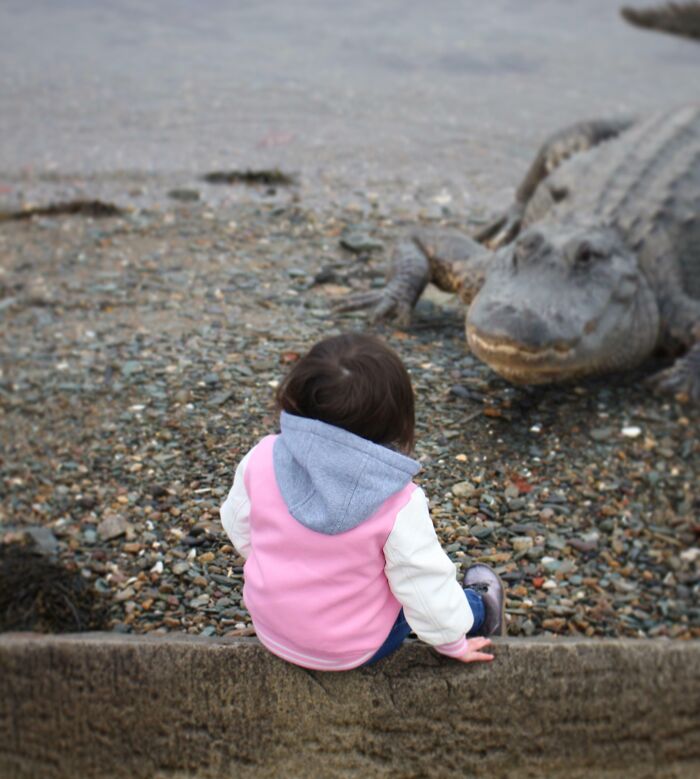 Child in a pink jacket sits near a lifelike alligator statue on a pebbled shore, creating a hilarious scene.