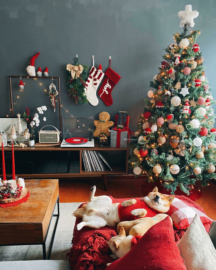 Cozy living room with Christmas decorations, tree, stockings, and two dogs on a red blanket.