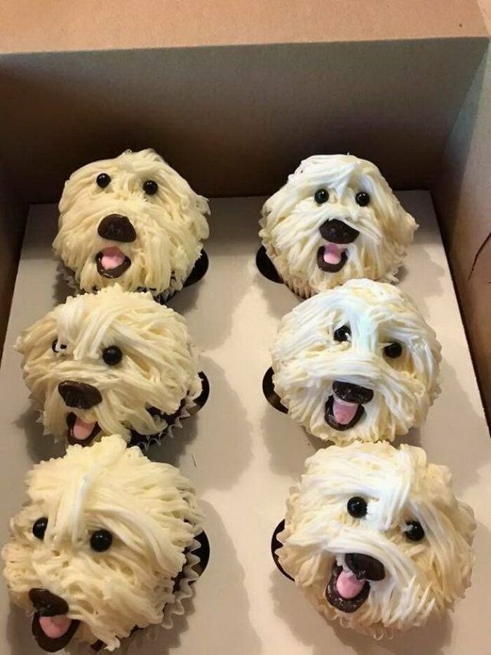 Cute cupcakes decorated as fluffy dog faces, perfect for foodies to love.