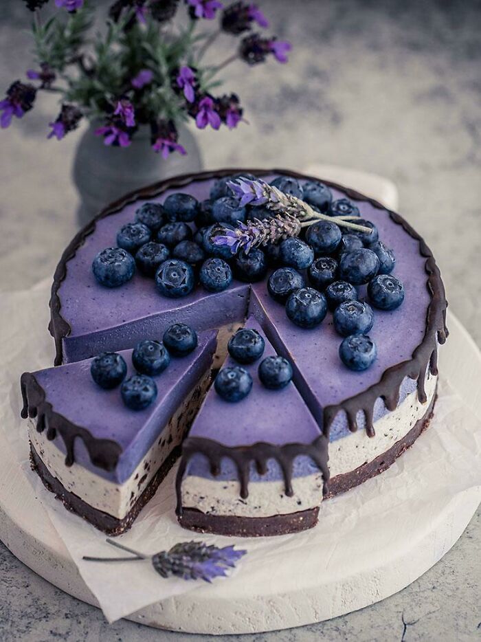 Beautiful food pic of a blueberry and lavender cake with chocolate drips, perfect for foodies to love.