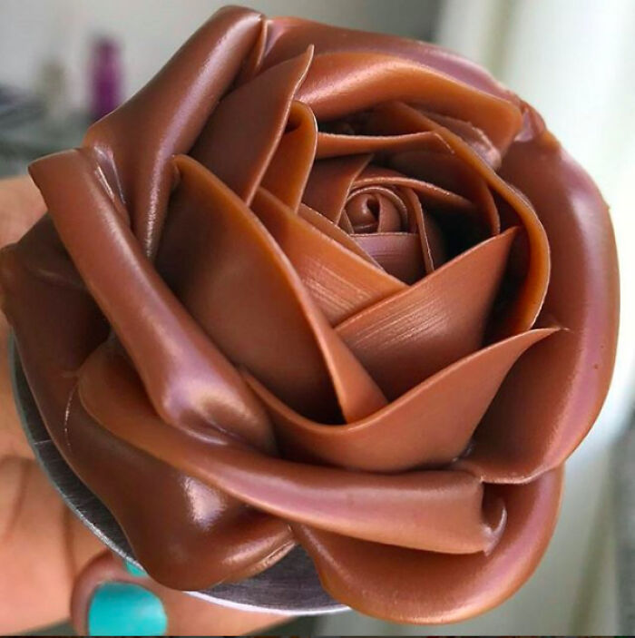 A Stunning Chocolate Rose (599x602)