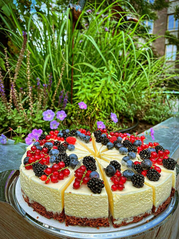 Cheesecake topped with assorted berries on a sunny garden backdrop.