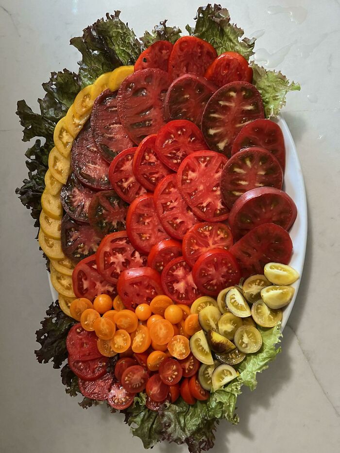 Colorful tomato salad with various sliced tomatoes on a bed of fresh lettuce, sure to captivate foodies.