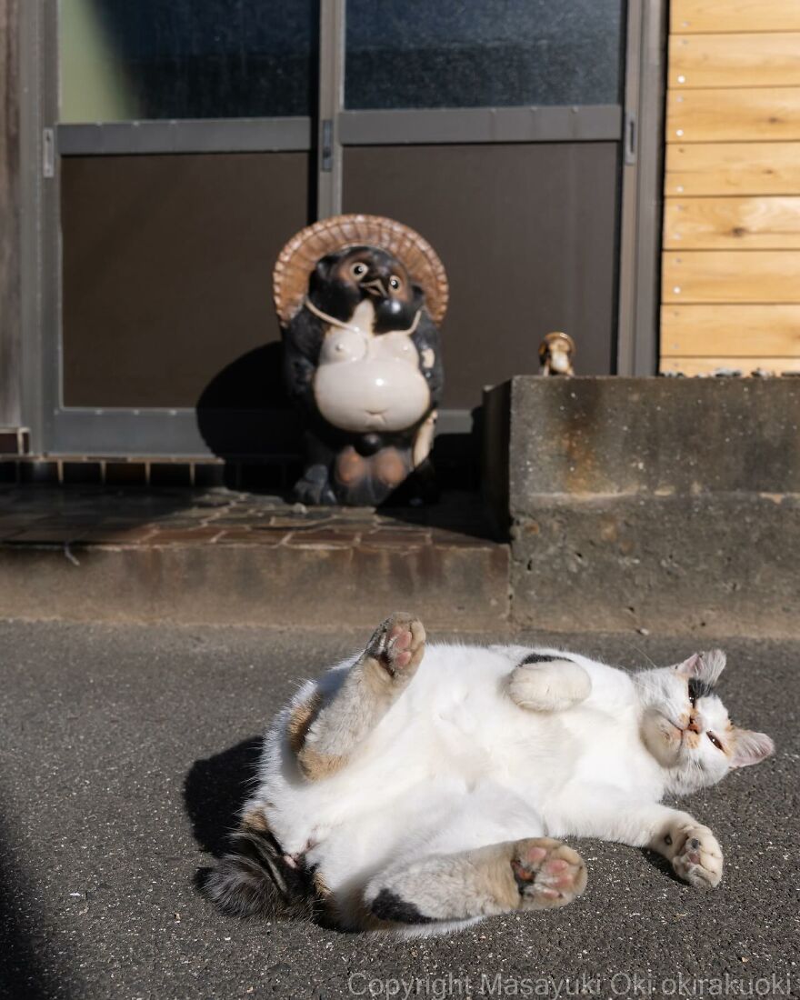 Playful cat lounging on its back in front of a statue, captured by Masayuki Oki.