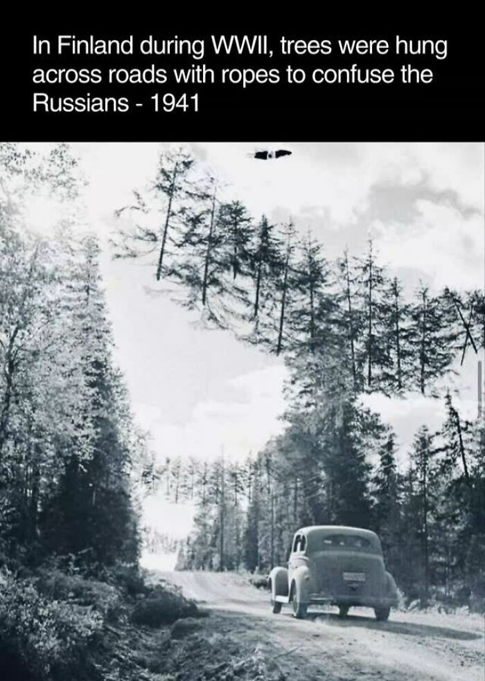 Vintage car on a forest road in Finland during WWII with trees suspended to confuse soldiers, showcasing historical curiosities.