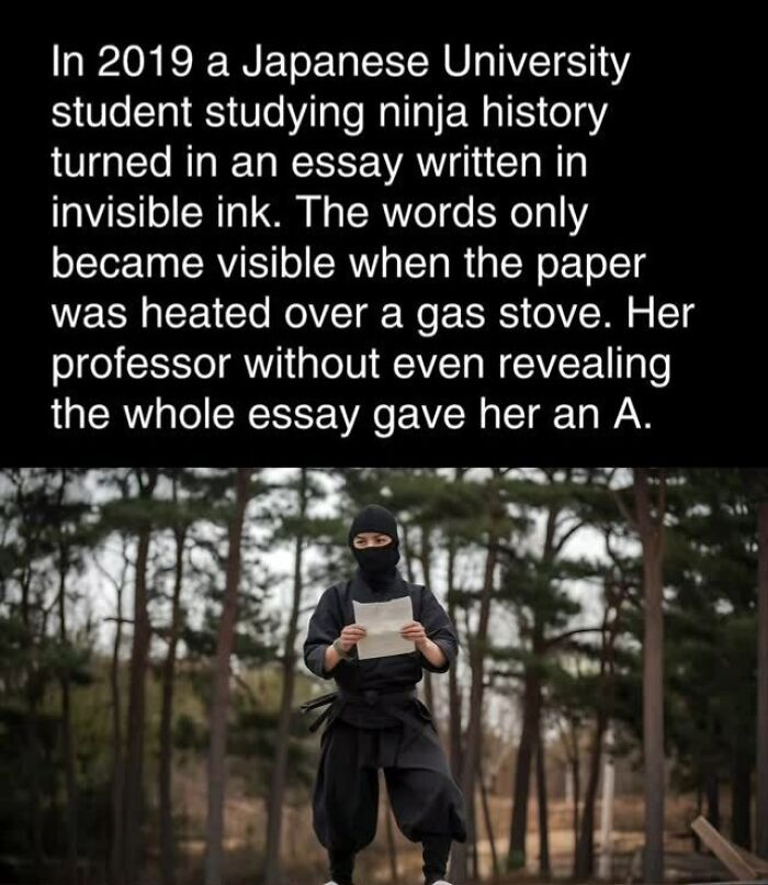 Ninja holding an essay, symbolizing interesting facts and curiosities in ninja history.