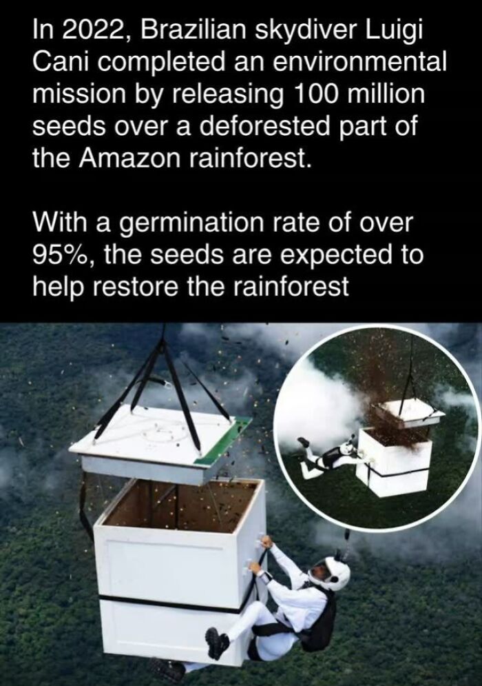 Skydiver releasing seeds over the Amazon rainforest to aid reforestation efforts, showcasing interesting environmental facts.