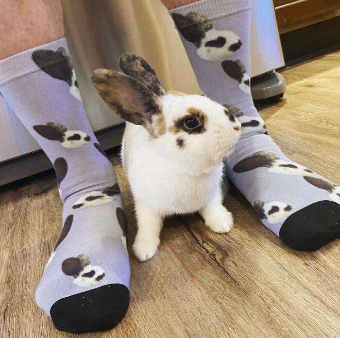 Brighten Up Their Day With A Pair Of Custom Face Socks. Whether It's A Picture Of Their Pet, A Loved One, Or A Favorite Celebrity, These Socks Are Sure To Bring A Smile And A Chuckle